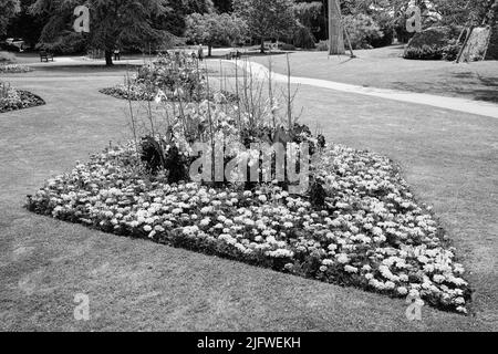 Blick auf Boscawen Park, Malpas, Truro, Cornwall Stockfoto