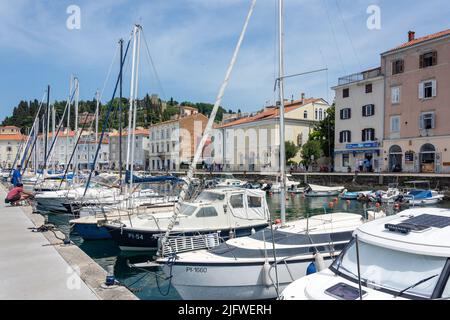 Blick auf den Hafen, Piran (Pirano), Slowenisches Istrien, Slowenien Stockfoto