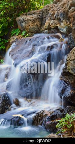 Ruhiger Teich mit einem Wasserfall über Felsen. Landschaft einer kleinen natürlichen Quelle in der Nähe eines klaren Pools auf einem Bergpfad. Entspannende friedliche Naturszene Stockfoto