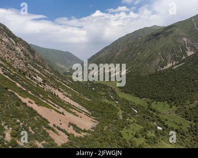 Luftaufnahme eines bewaldeten Canyons in der Nähe von Bischkek, Kirgisistan. Stockfoto