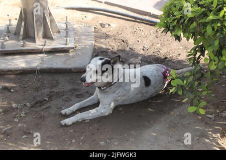 Bilder von Connaught Place Stockfoto