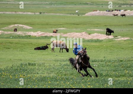 Männer spielen auf einem Feld in Kirgisistan eine Partie Kok Boru oder totes Ziegenpolo. Stockfoto