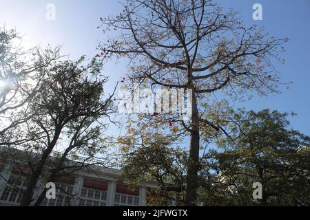 Bilder von Connaught Place Stockfoto