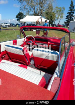 Rot-weißes Interieur des alten Chevrolet Chevy Impala SS Super Sport V8 Cabriolet 1964 auf dem Land. Naturrasen und Bäume. Oldtimer-Show Stockfoto