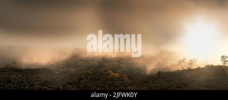 Der weltweit größte Vulkan Mauna Loa in Hawaii, Big Island, Hawaii, USA. Mauna Loa ist immer noch der größte aktive Vulkan der Erde. Der hawaiianische Schild Stockfoto