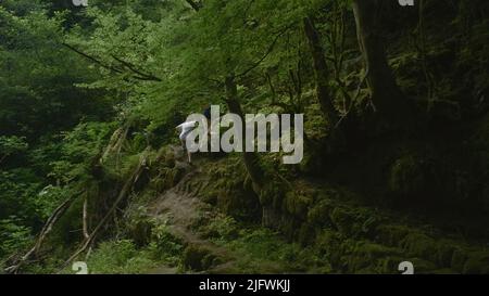 Wandern mit hild im felsigen Dschungel. Kreativ. Kind und Mutter gehen im wilden Dschungel wandern. Gefährliche Wanderung mit Kind im dichten grünen Dschungel. Stockfoto