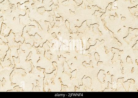 Beige verputzte Wandstruktur. Nahtlose Oberfläche und abstrakter solider Hintergrund. Blass lackierte Wandstruktur. Stockfoto