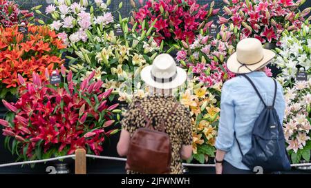 Die RHS Hampton Court Palace Garden Flower Show 2022 öffnet heute und läuft bis Samstag, den 9.. Juli. Im Bild: Besucher beobachten Blumenausstellungen im FL Stockfoto