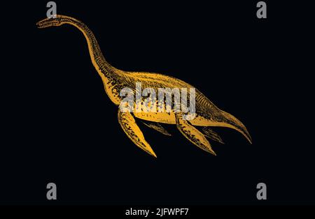 Meeresfauna auf einem isolierten schwarzen und goldenen Hintergrund. Plesiosaur. Vektorgrafik. EPS10. Stock Vektor