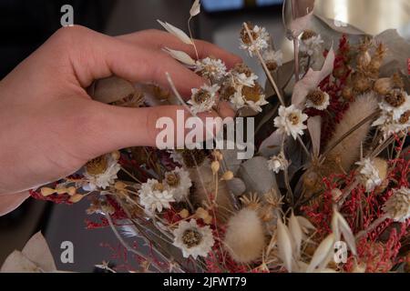 Hände eines jungen weißen Mannes, der die getrockneten Blumen einer Dekoration arrangiert Stockfoto