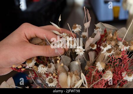 Hände eines jungen weißen Mannes, der die getrockneten Blumen einer Dekoration arrangiert Stockfoto