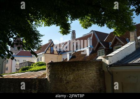 Tallinn, Estland. Juli 2022. Detailansicht der Dächer der alten Altstadt Stockfoto