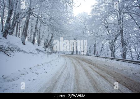 Straße in Sabaduri Wald mit bedecktem Schnee. Winterzeit. Querformat Stockfoto