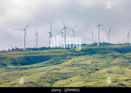 Der größte Windpark des Staates wurde 2006 auf den West Maui Mountains, Hawaii, in Betrieb genommen. Stockfoto