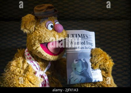 FOZZIE BEAR, KERMIT, MUPPETS MOST WANTED, 2014 Stockfoto