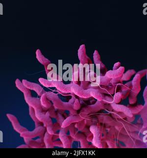 Dies ist eine medizinische Illustration von arzneimittelresistenten Campylobacter sp.-Bakterien, die in der Publikation „Centers for Disease Control and Prevention“ (CDC) mit dem Titel „Antibiotic Resistance Threats in the United States, 2019 (AR Threats Report)“ vorgestellt wurde. Eine optimierte und verbesserte Version eines Bildes, das von den US Centers for Disease Control and Prevention / Credit CDC / A.Eckert produziert wurde Stockfoto