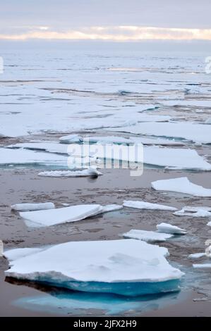 Arktisches Eis. Eis wird vom Rumpf des Küstenwache-Schneiters Healy weggedrückt. Blick von einem USGS-Erkundungsschiff, Arktischer Ozean, August (2009) Quelle: P.Kelley, USCG Stockfoto
