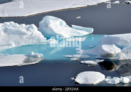 Arktisches Eis. Eis wird vom Rumpf des Küstenwache-Schneiters Healy weggedrückt. Arctic Ocean, August (2009) Quelle: P.Kelley, USCG Stockfoto