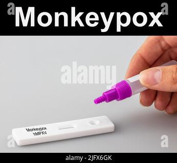 Affenvirus-Selbsttest (Schnelltest) Stockfoto