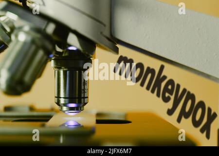 Monkypox-Virus unter dem Mikroskop Stockfoto