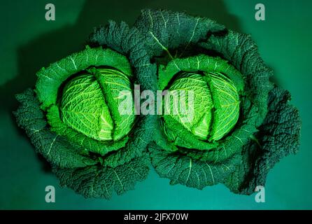Draufsicht auf zwei wirsing-Kohl-Köpfe auf grünem Hintergrund Stockfoto