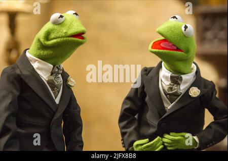 KERMIT, MUPPETS MOST WANTED, 2014 Stockfoto