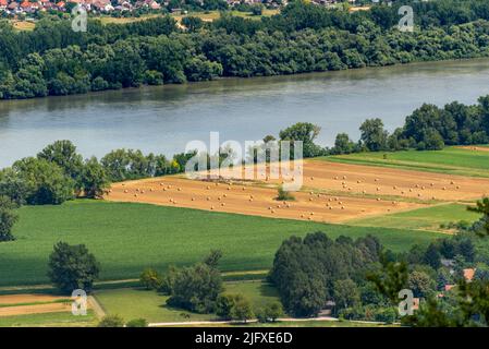 Die Donauknie (ungarisch: Dunakanyar) ist eine Kurve der Donau in Ungarn, in der Nähe der Stadt Visegrád. Stockfoto