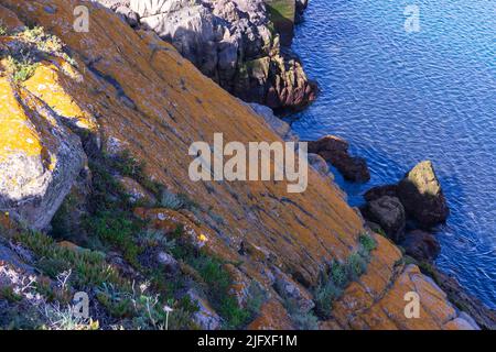 Felsen bedeckt mit gelben Flechten über einem blauen Ozean an einem sonnigen Tag Stockfoto