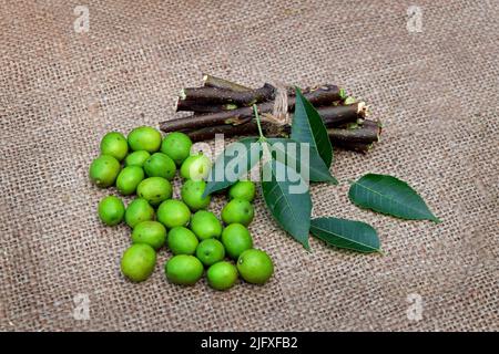 Medizinische Neemblätter mit Früchten auf Jutegewebe Hintergrund Stockfoto