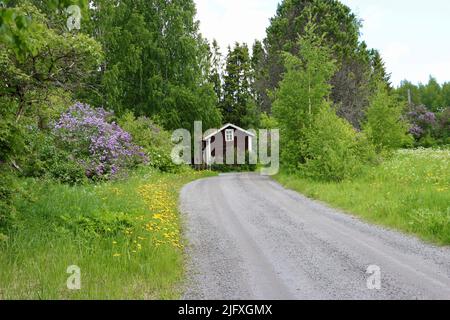 Feldweg durch Wald, an einem alten Haus in Uukuniemi in Ostfinnland im Juni 2022 Stockfoto