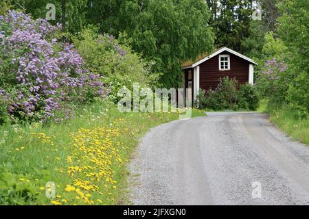 Feldweg durch Wald, an einem alten Haus in Uukuniemi in Ostfinnland im Juni 2022 Stockfoto