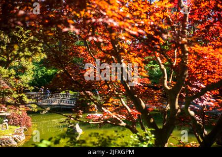 Spokane, WA, USA - 3. Juli 2022: Besucher genießen einen Sommernachmittag im Japanischen Garten Nishinomiya Tsutakawa im Manito Park und im Botanischen Garten. Stockfoto