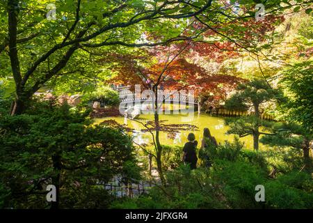Spokane, WA, USA - 3. Juli 2022: Besucher genießen einen Sommernachmittag im Japanischen Garten Nishinomiya Tsutakawa im Manito Park und im Botanischen Garten. Stockfoto