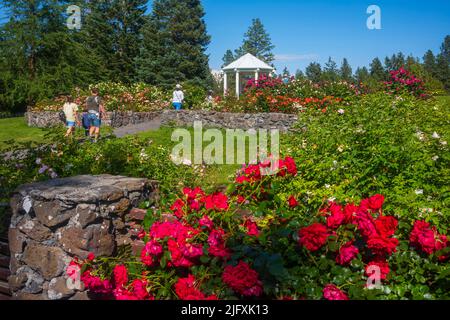 Spokane, WA, USA - 3. Juli 2022: Besucher genießen einen Sommernachmittag im Rose Hill im Manito Park und den Botanischen Gärten. Stockfoto