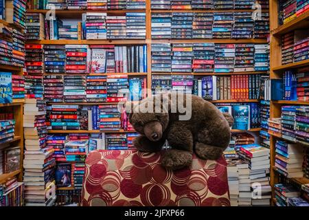 Bearly Used Books ist ein gebrauchter Buchladen in Parry Sound, Ontario, Kanada Stockfoto