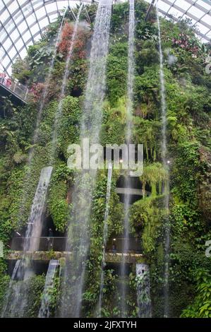 Cloud Forest biodome in Gardens by the Bay, Singapur Stockfoto