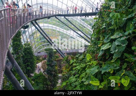 Cloud Forest biodome in Gardens by the Bay, Singapur Stockfoto