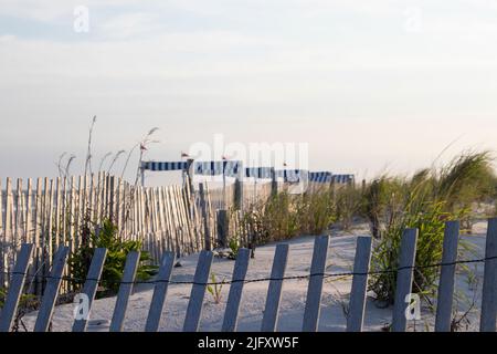 Rustikaler Zaun umzäunt die wunderschönen Sanddünen des Ozeans und des Strandes von Cape May New Jersey Stockfoto