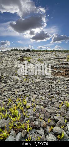 Landschaft mit abgekühltem Lavastrom mit Kopierraum, Big Island, Hawaii. Landschaftlich schöner Blick auf den Mauna Kea, einem schlafenden Vulkan in abgeschiedener, offener Lage. Blau Stockfoto