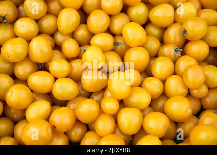 Gelbe Tomaten Hintergrund.Gruppe von frischen Tomaten. Stockfoto