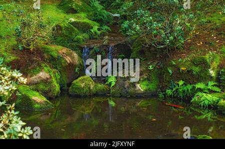 Der malerische Blick auf den Wasserfall am Teich. Sanft fließender Dschungelwasserfall tief im Wald. Wasserfall durch einen Durchgang im üppigen grünen Wald Stockfoto