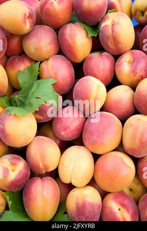 Frische reife Pfirsiche als Hintergrund, Draufsicht Stockfoto