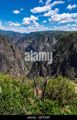 In diesem Park, der vom Gunnison River gebildet wird, sind steile Wände zu sehen Stockfoto