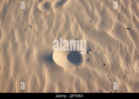 Nahaufnahme der Sandstruktur an einem Strand im Sommer als Hintergrund. Braunes Wüstenmuster vom tropischen Strand. Sanddünen-Struktur der Wüste. Gekräuselte Küste mit Stockfoto