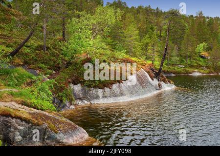 Ein Seeufer in der Nähe eines Greenwood. Eine Landschaft eines Wanderziels. Ein ruhiger Hügel Fluss und Wald im Frühling. Tiefe und dichte Regenwaldvegetation Stockfoto