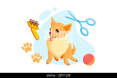 Hundepflege mit Haarschnitt Scheren und Kämmen.Verspielte chihuahua Welpen in Pflege-Service. Vektor-Illustration in niedlichen Cartoon-Stil Stock Vektor