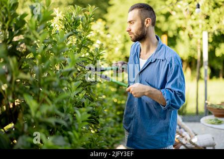 Schöner Gärtner arbeitet im Garten Stockfoto
