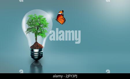Baum wächst in der Glühbirne mit Schmetterling. Ökologie, Wachstum, grün denken, Energiesparen, Innovation, Grüne ökologische Energie. Stockfoto