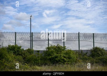 Sicherheitstore aus Metall mit Stacheldraht. Umfang mit überwuchertem Laub bedeckt. Stockfoto