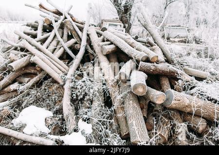 Haufen frostigen Brennholzes im Hof. Stockfoto